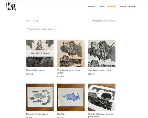 La boutique de l'artiste le vilain